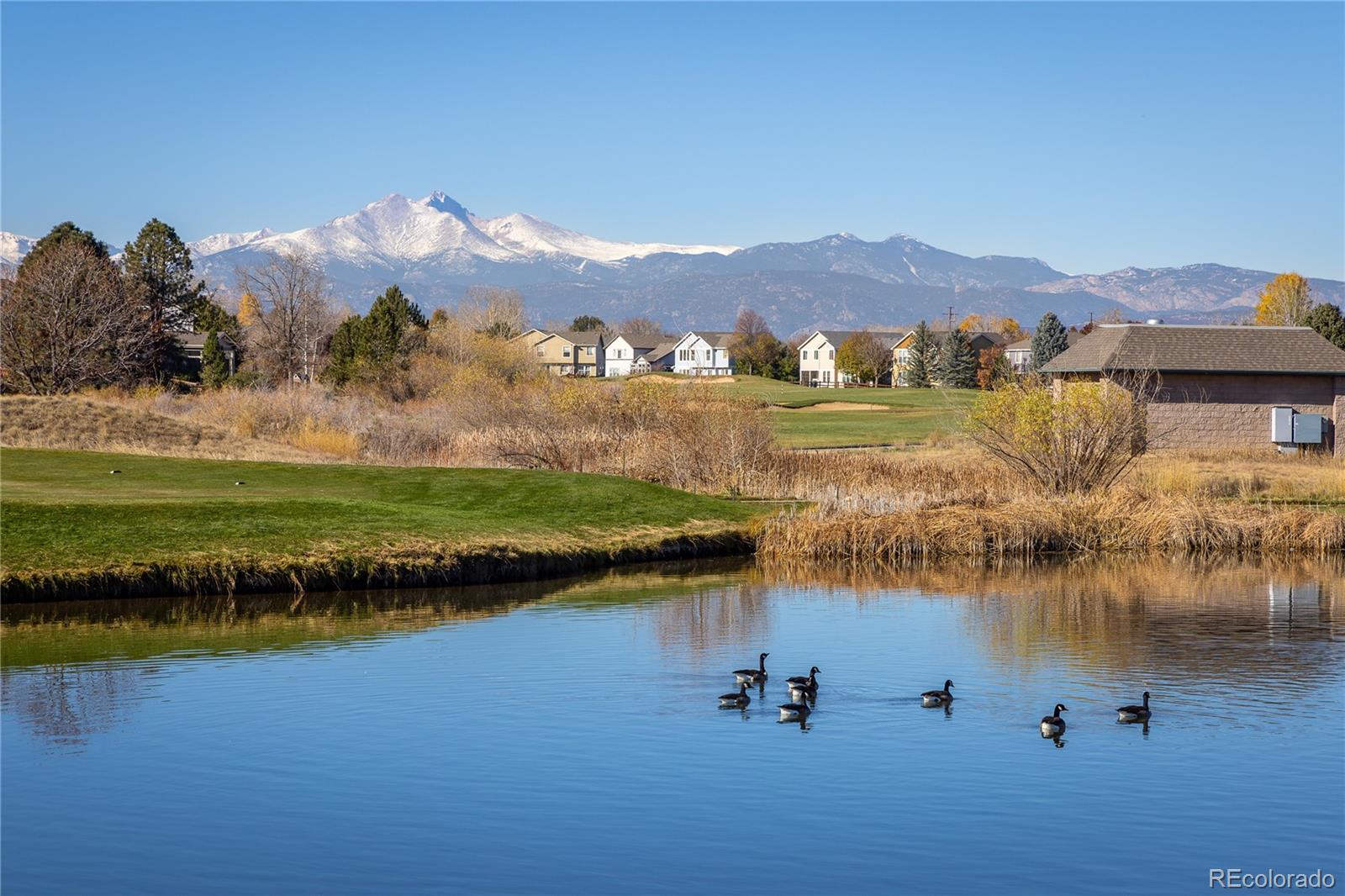 MLS Image #29 for 1703  whitehall drive,longmont, Colorado