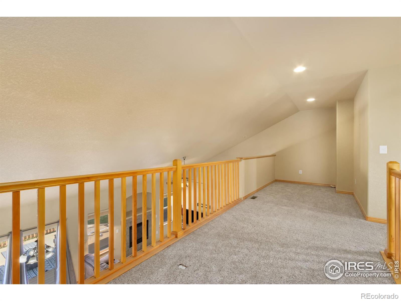 MLS Image #12 for 1010  frisian drive,fort collins, Colorado