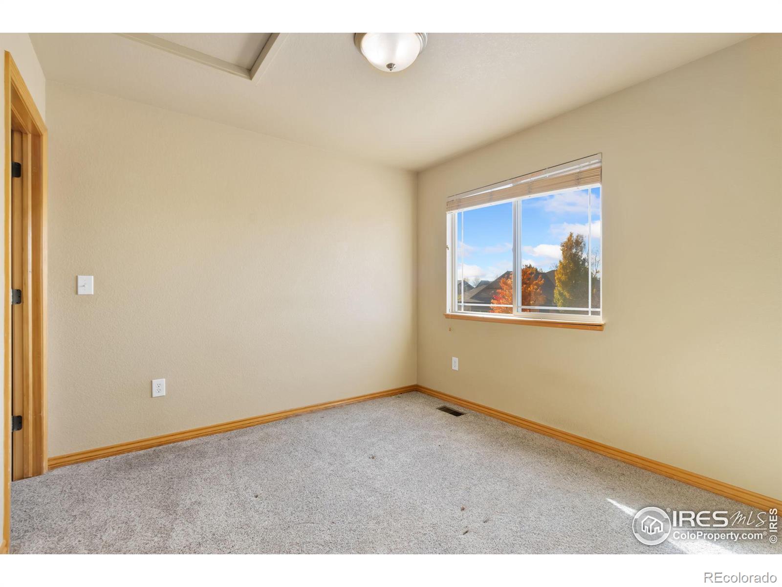 MLS Image #7 for 1010  frisian drive,fort collins, Colorado