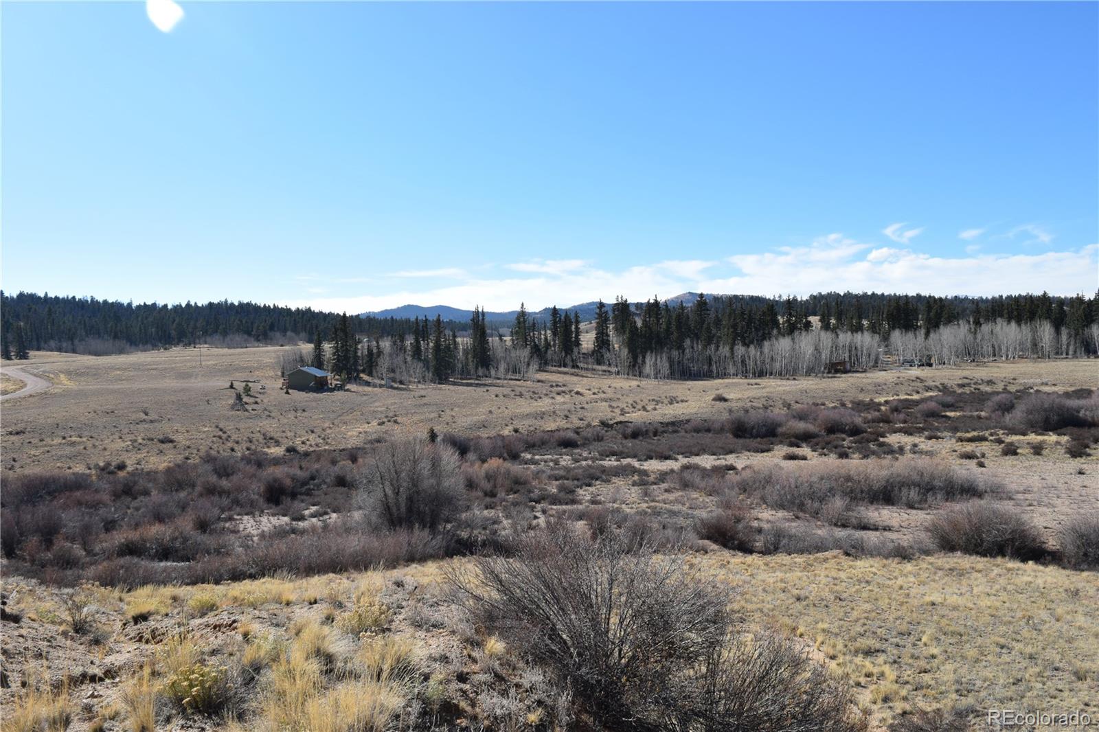 MLS Image #6 for 303  green whiskers lane,hartsel, Colorado