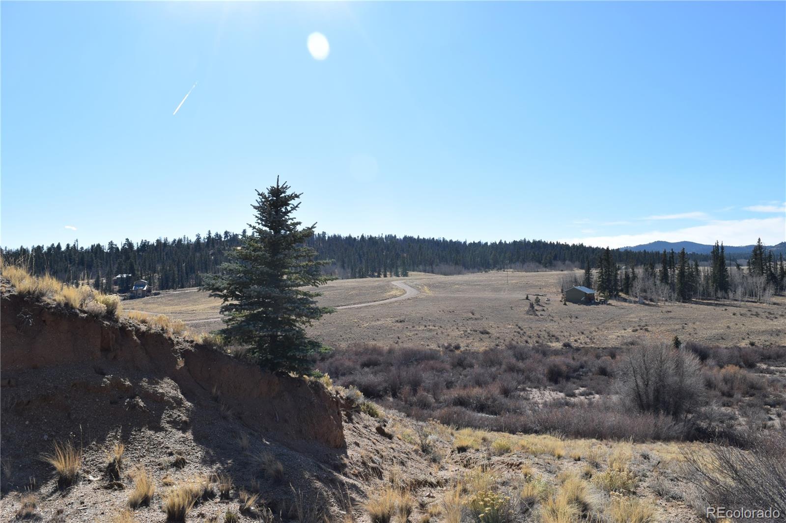 MLS Image #7 for 303  green whiskers lane,hartsel, Colorado