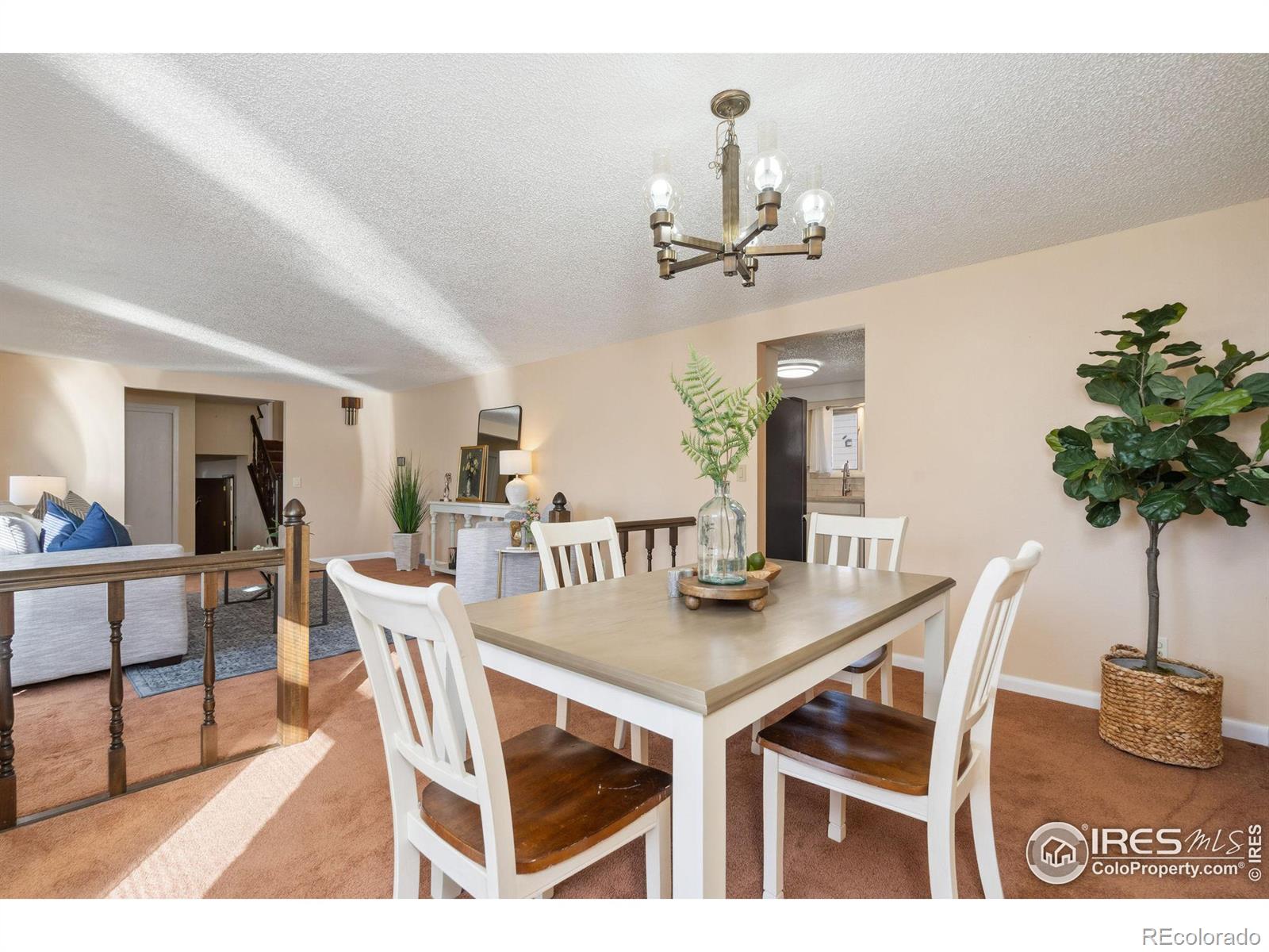 MLS Image #10 for 1004  jay court,loveland, Colorado