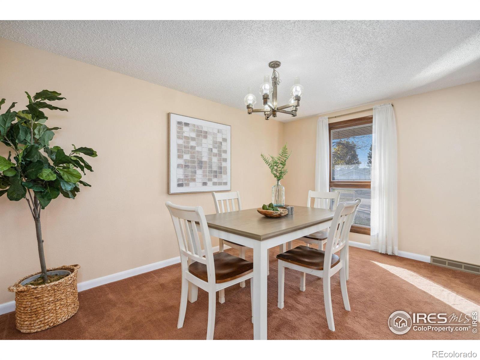 MLS Image #11 for 1004  jay court,loveland, Colorado