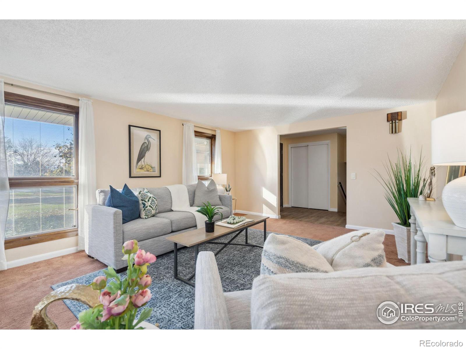 MLS Image #7 for 1004  jay court,loveland, Colorado