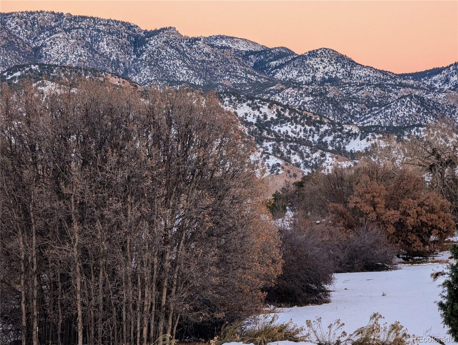 MLS Image #4 for 9564  us highway 50 ,howard, Colorado