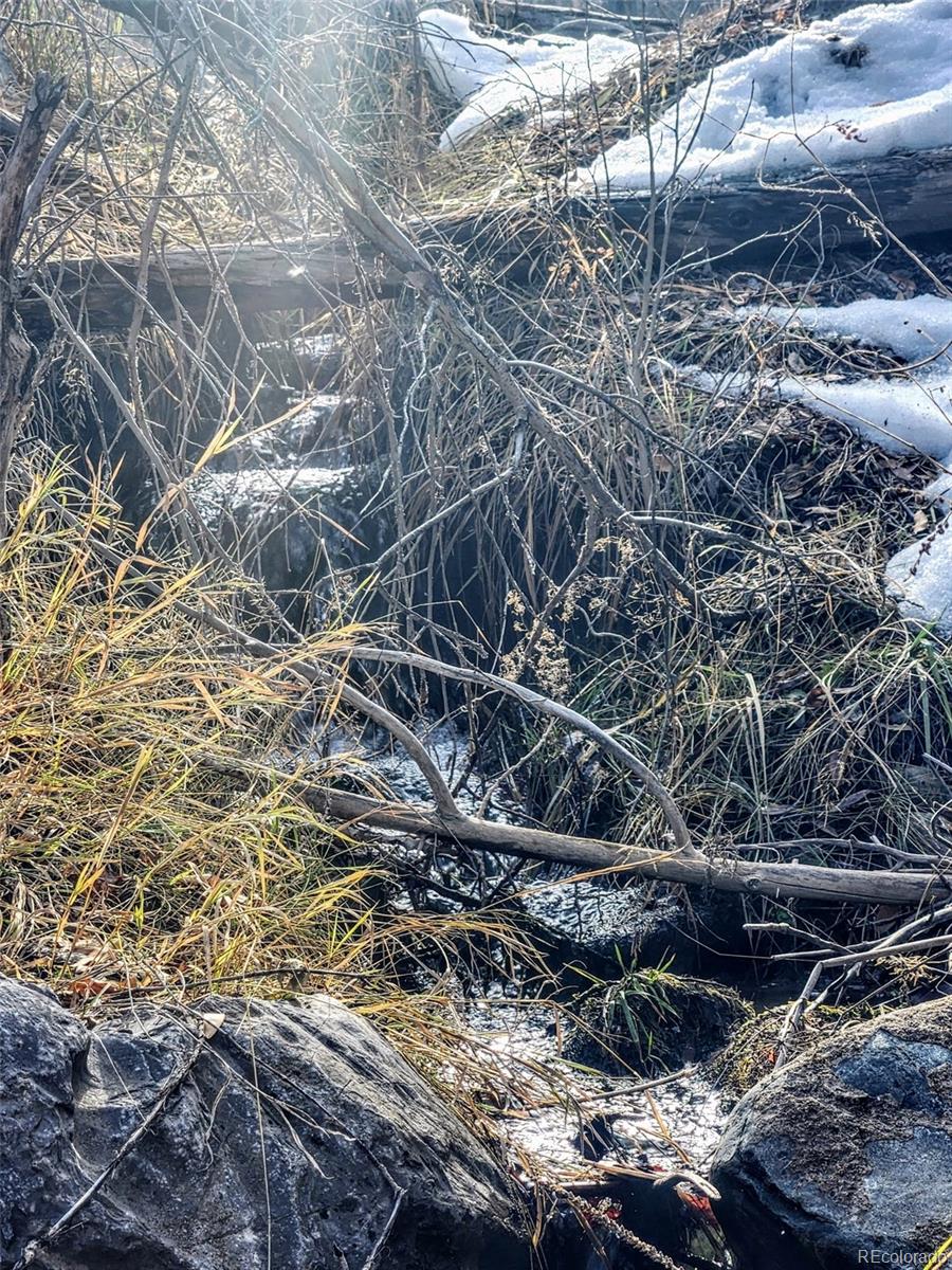 MLS Image #47 for 9564  us highway 50 ,howard, Colorado