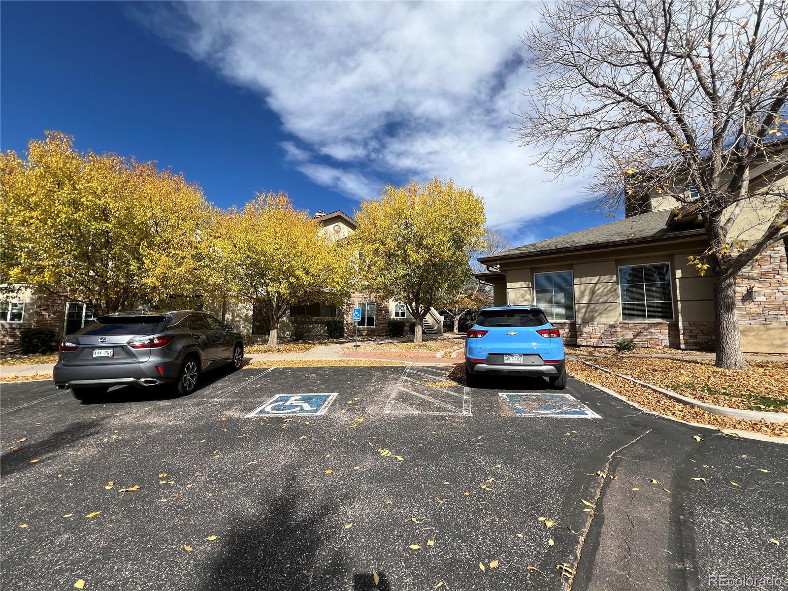 MLS Image #3 for 6925  ash creek heights,colorado springs, Colorado