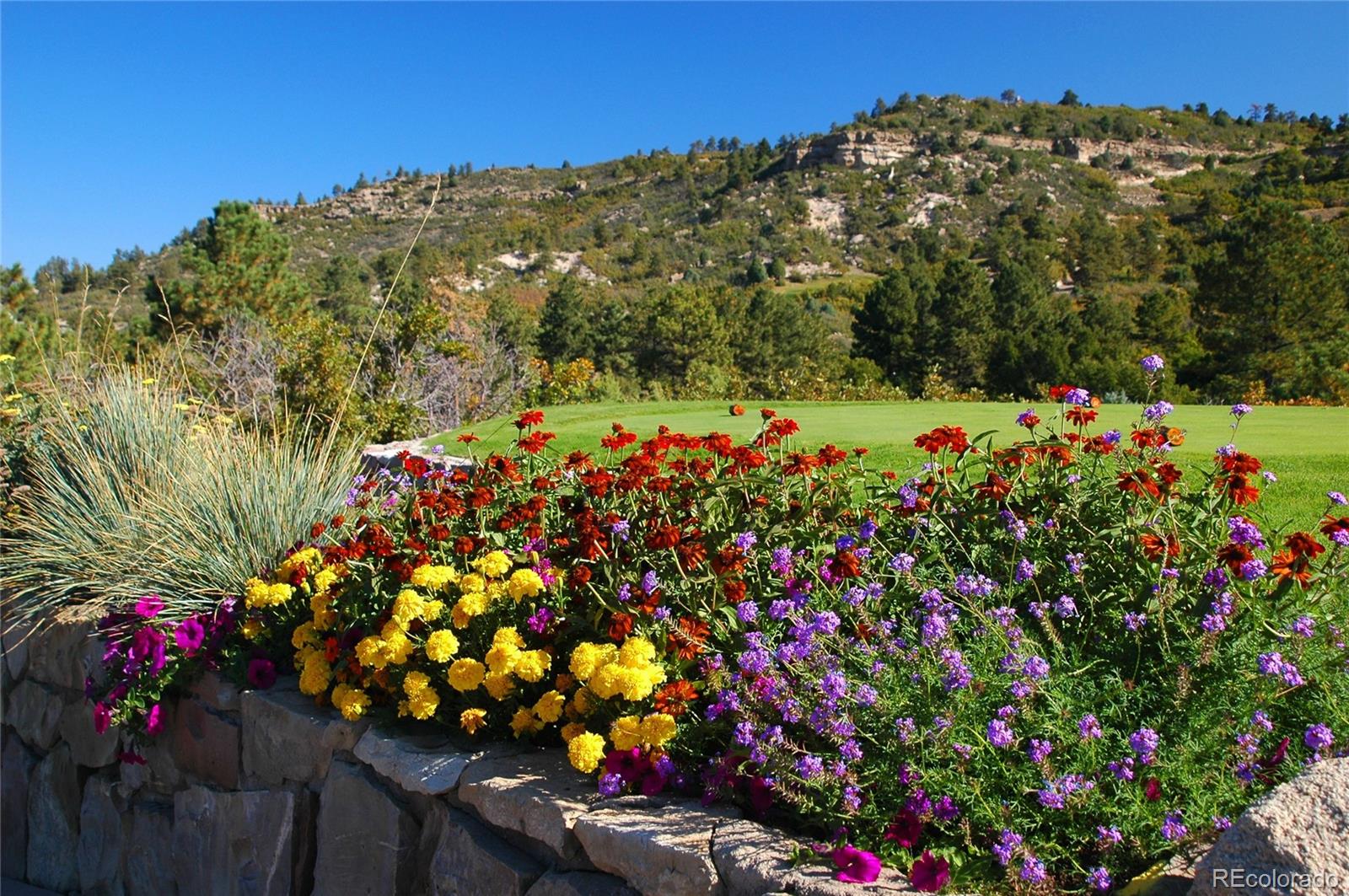 MLS Image #10 for 8014  trinity peak lane,castle rock, Colorado