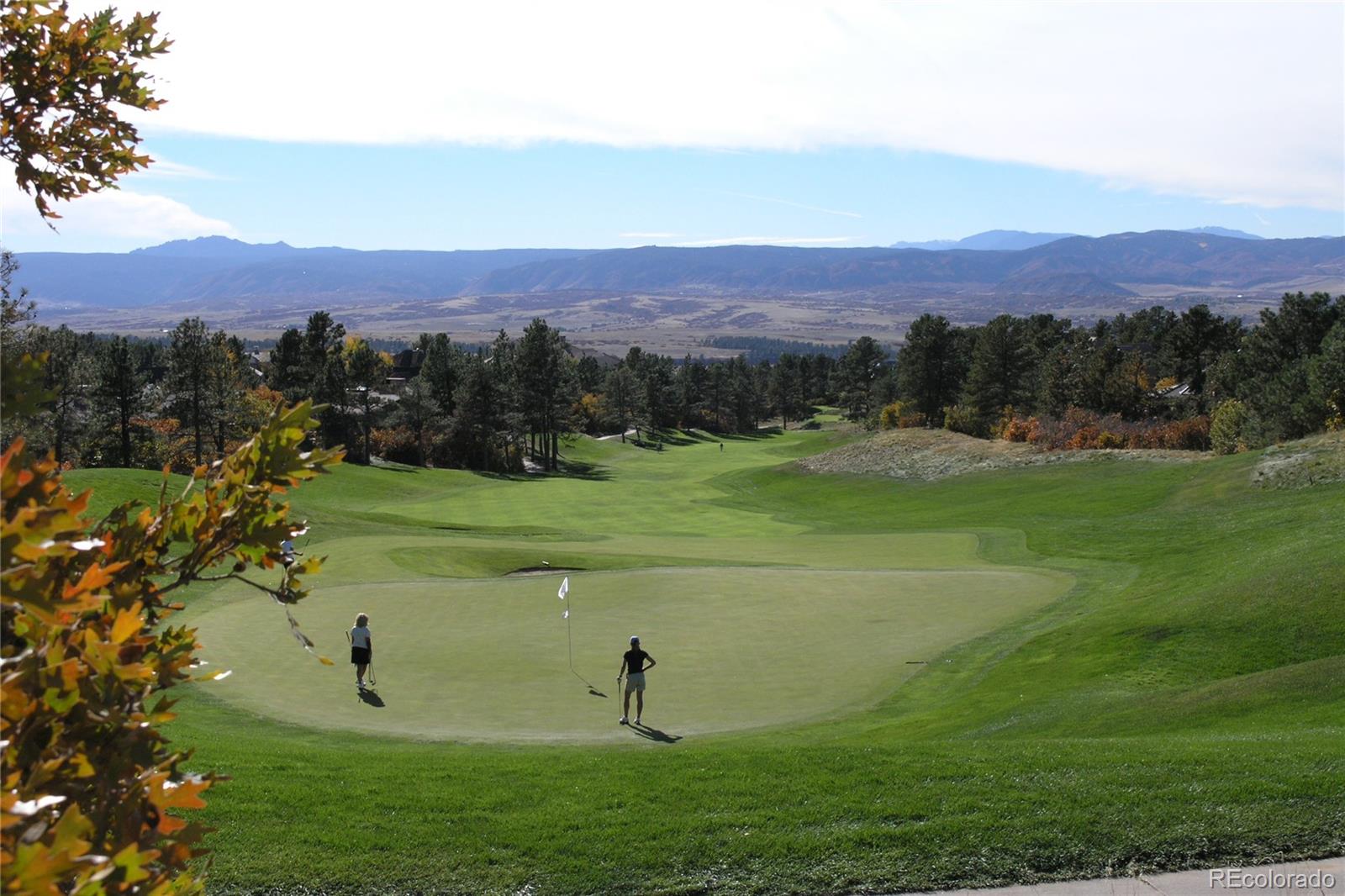 MLS Image #9 for 8014  trinity peak lane,castle rock, Colorado