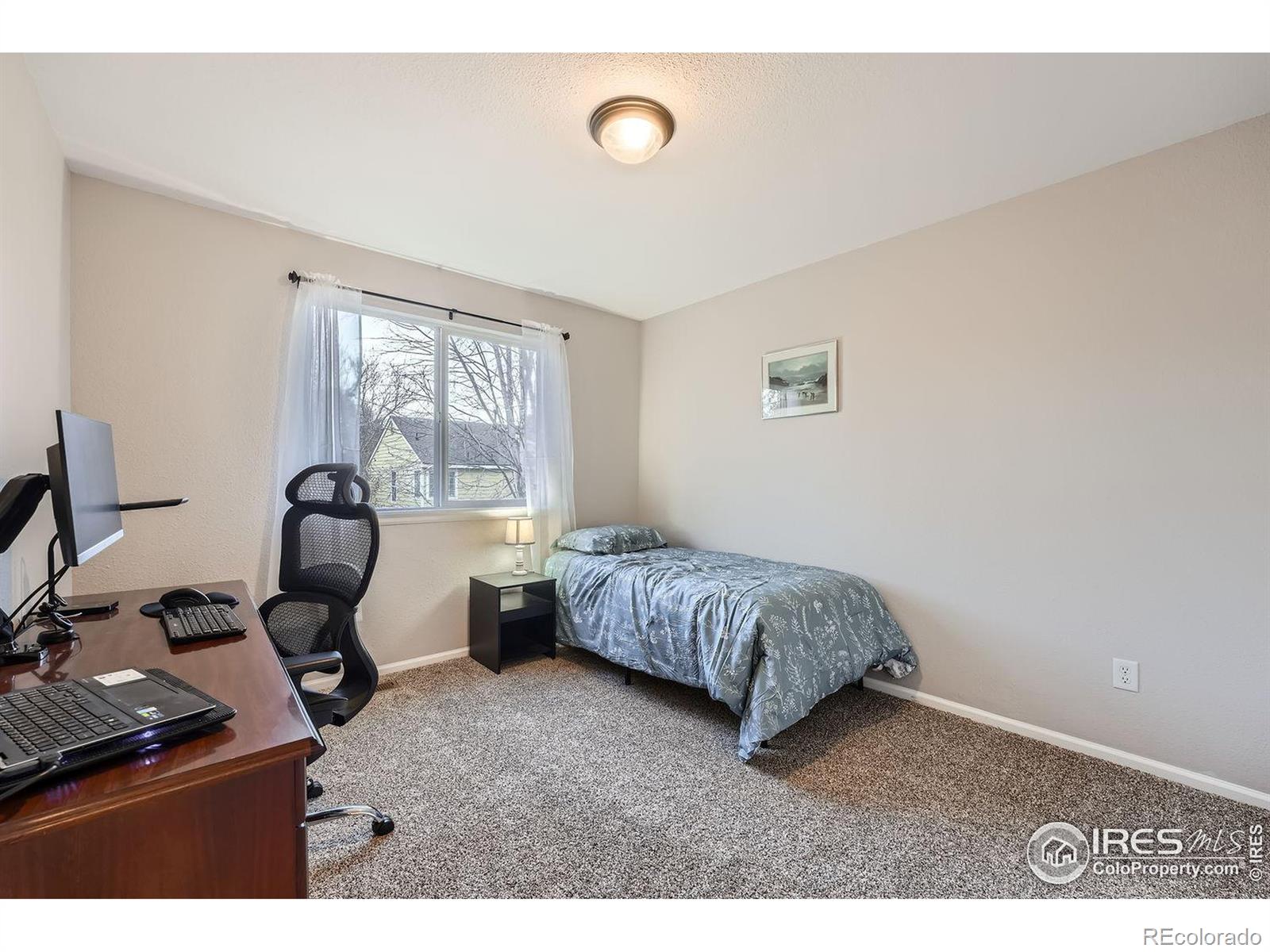 MLS Image #16 for 1028  morning dove drive,longmont, Colorado