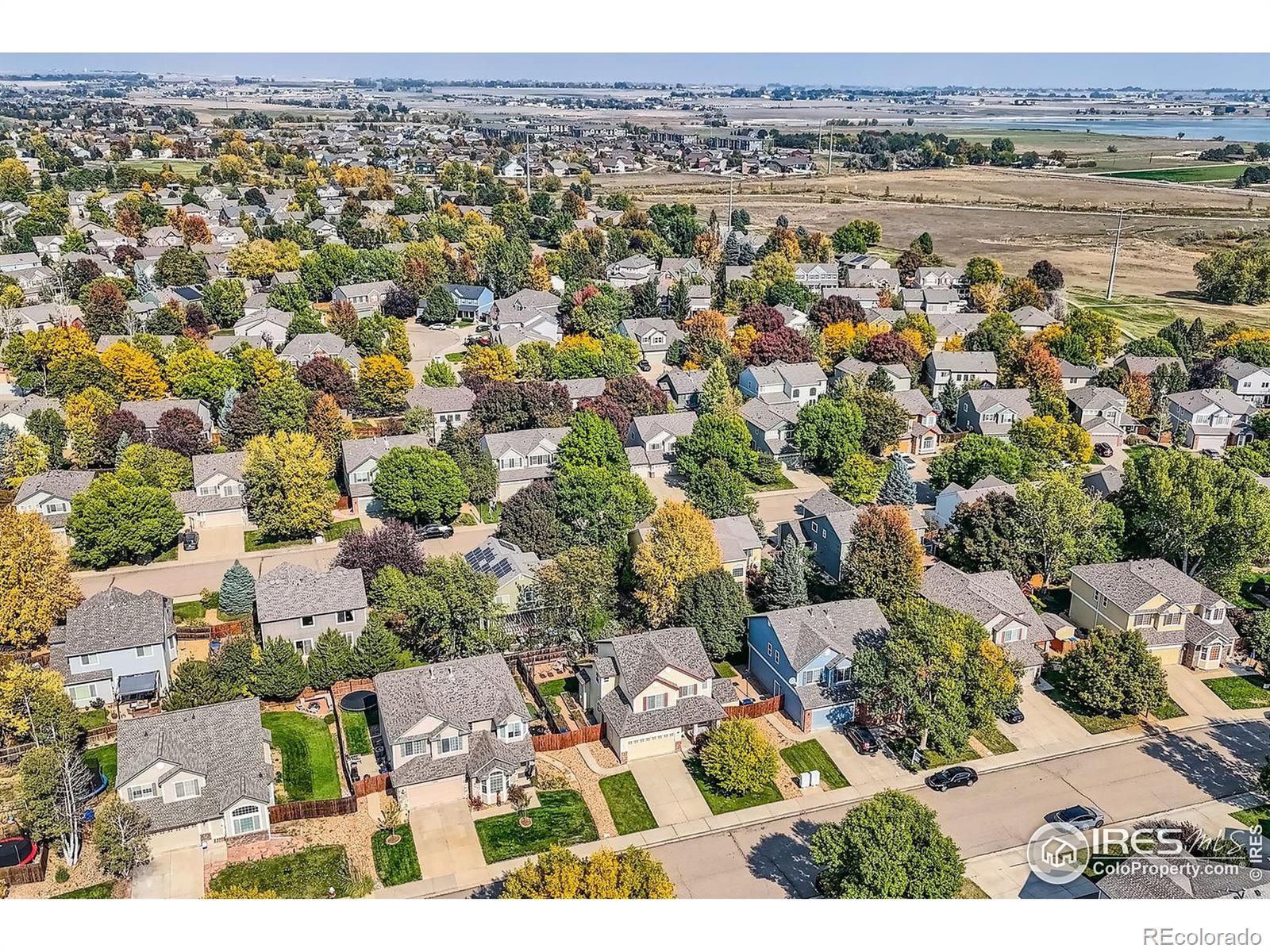 MLS Image #33 for 1028  morning dove drive,longmont, Colorado