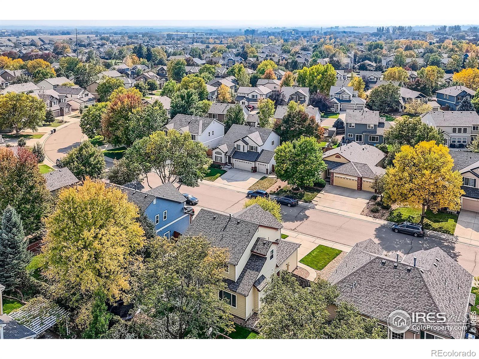 MLS Image #35 for 1028  morning dove drive,longmont, Colorado