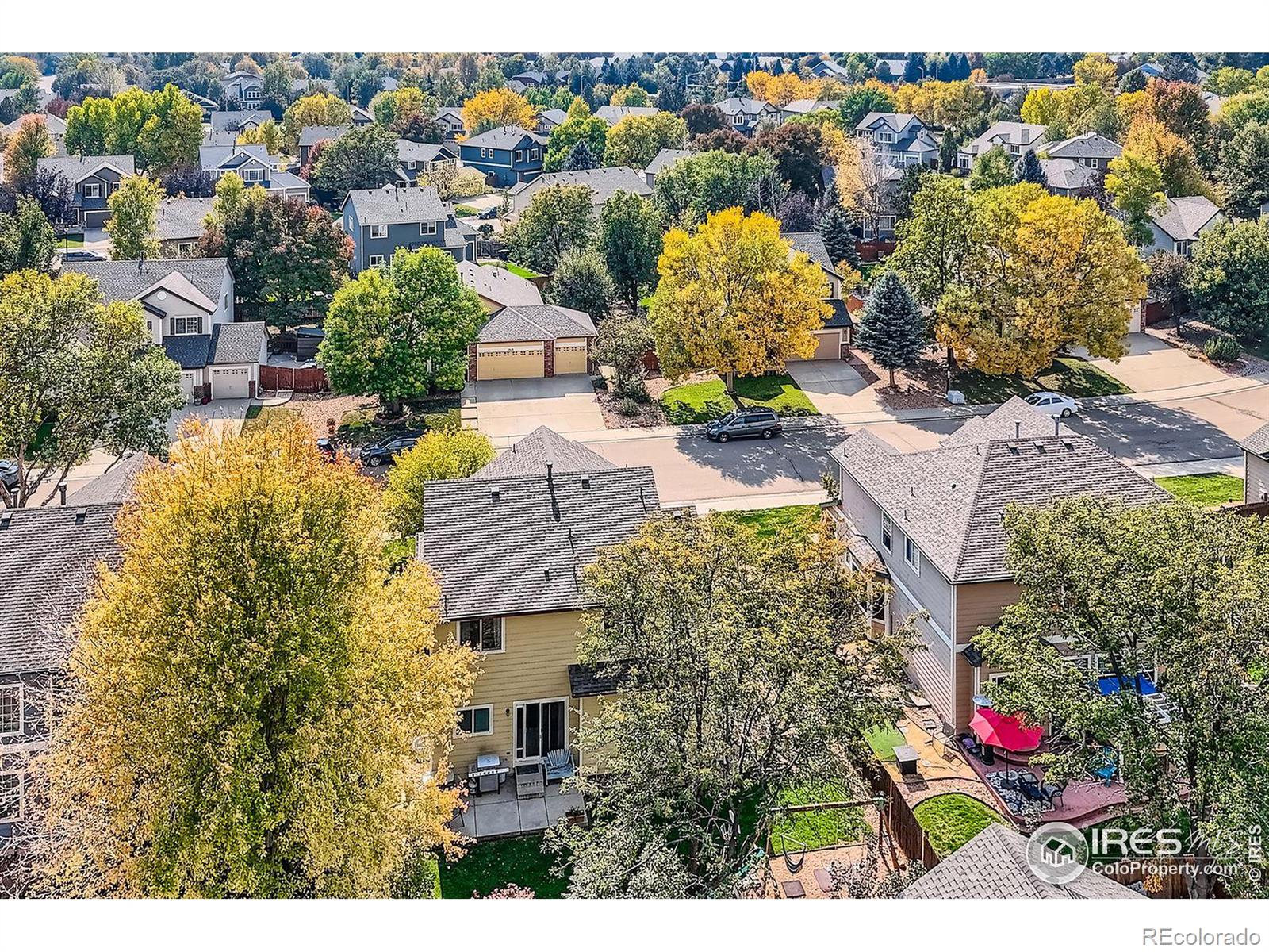 MLS Image #36 for 1028  morning dove drive,longmont, Colorado