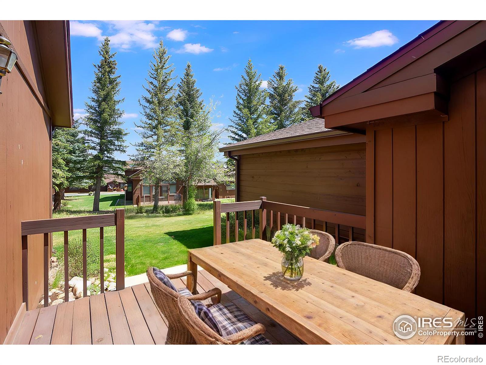 MLS Image #13 for 1455  matthew circle,estes park, Colorado