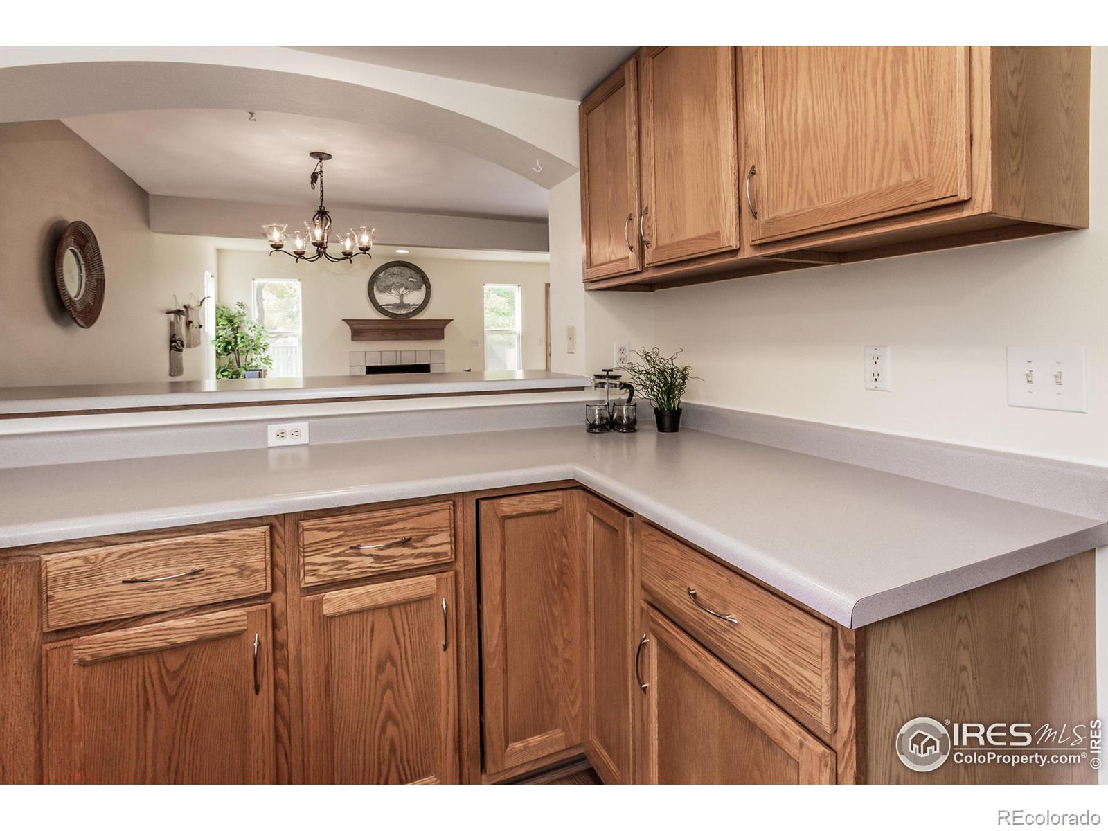 MLS Image #13 for 357  albion way,fort collins, Colorado