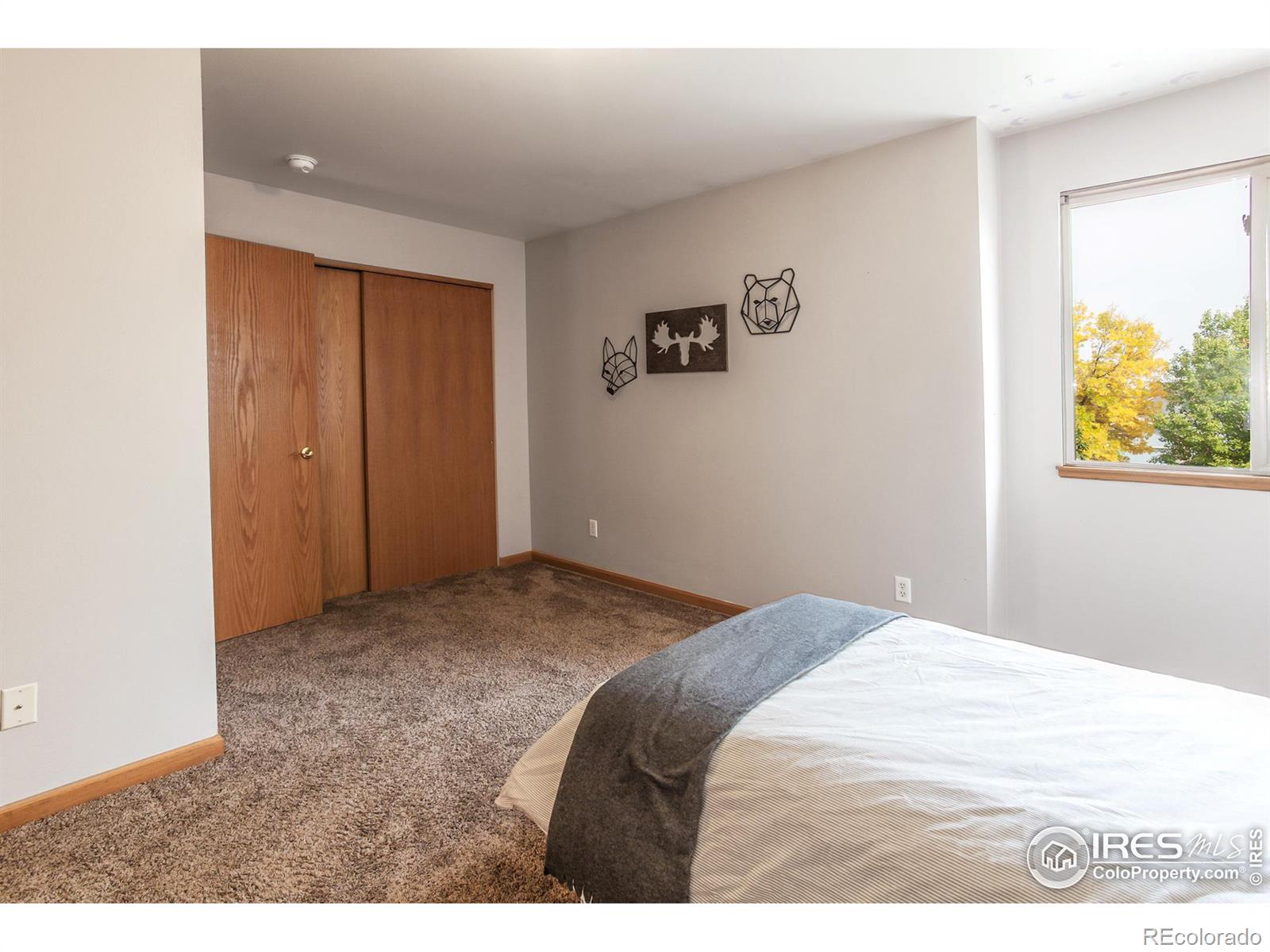 MLS Image #19 for 357  albion way,fort collins, Colorado