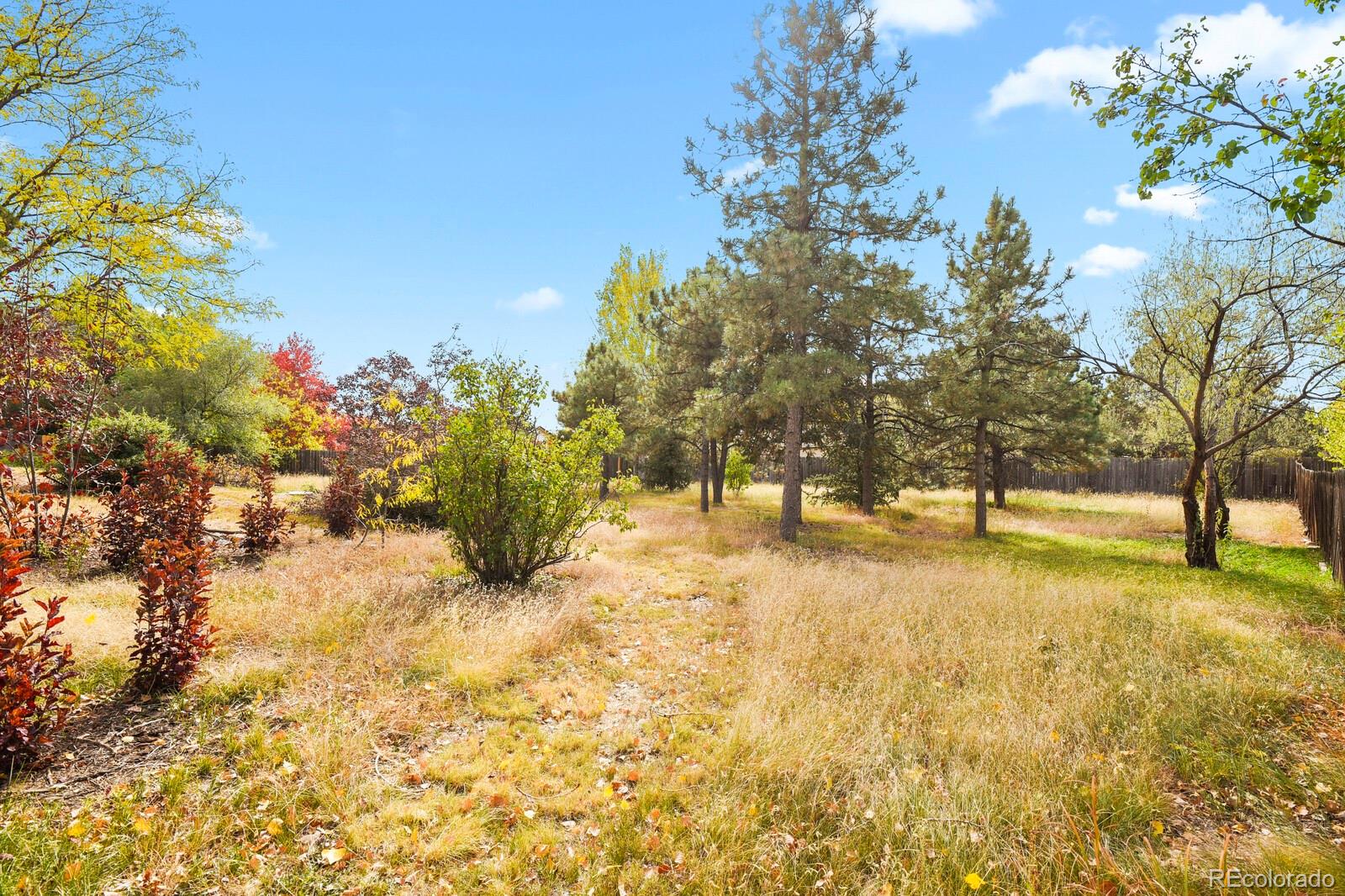 MLS Image #43 for 3825 e cresta loma circle,colorado springs, Colorado