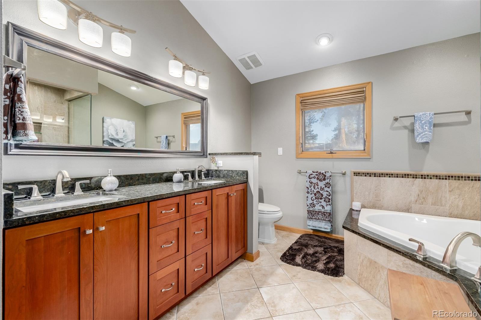 MLS Image #21 for 598  raven drive,bailey, Colorado