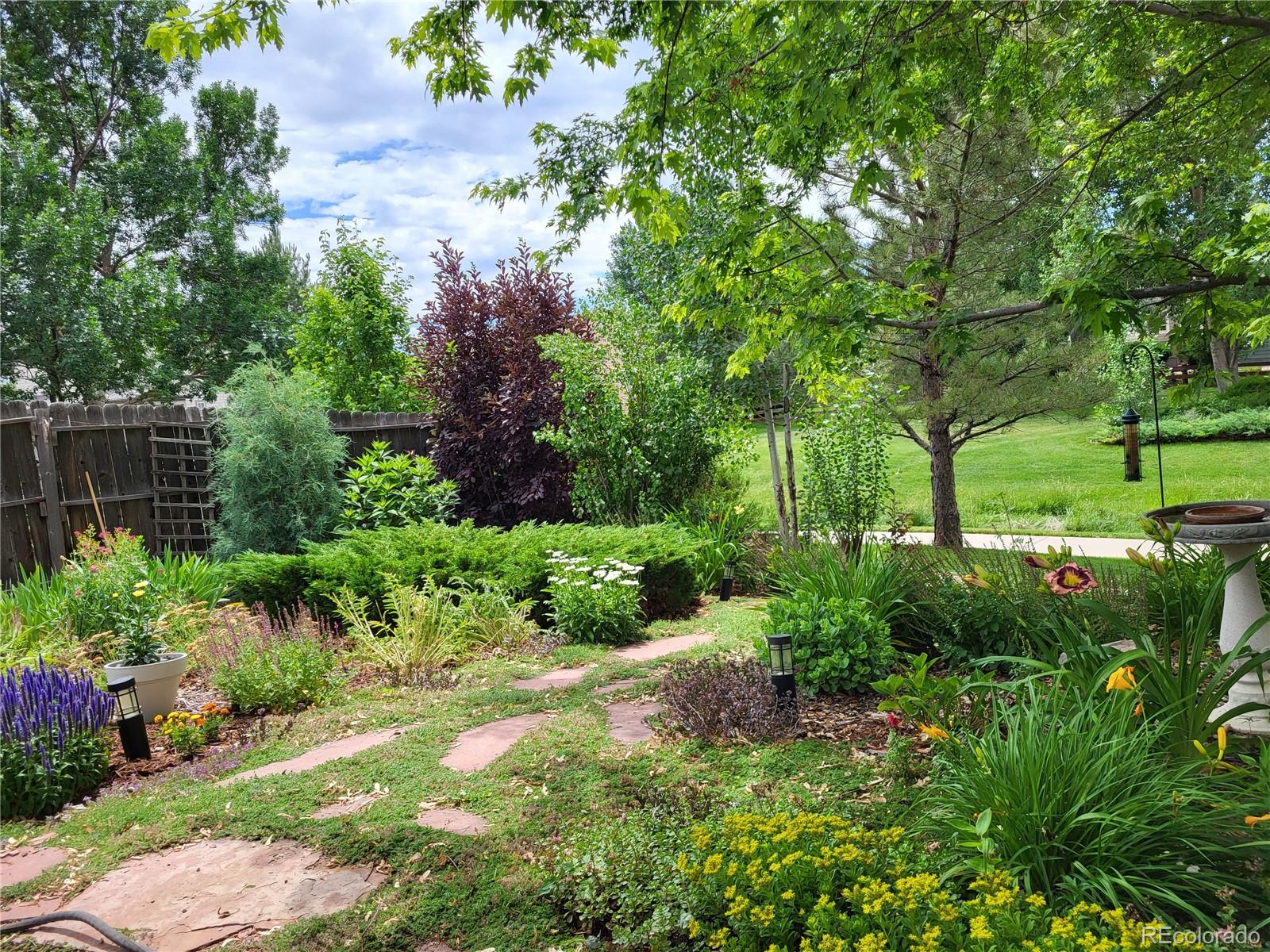 MLS Image #37 for 12381  chateau creek court,parker, Colorado