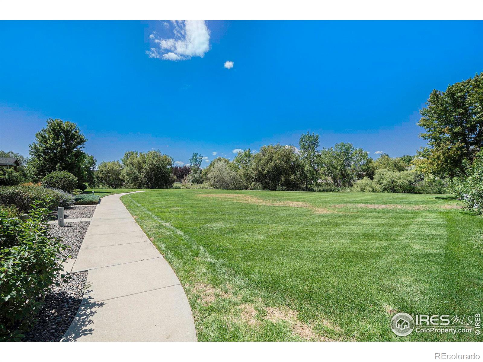 MLS Image #23 for 156  bayside circle,windsor, Colorado