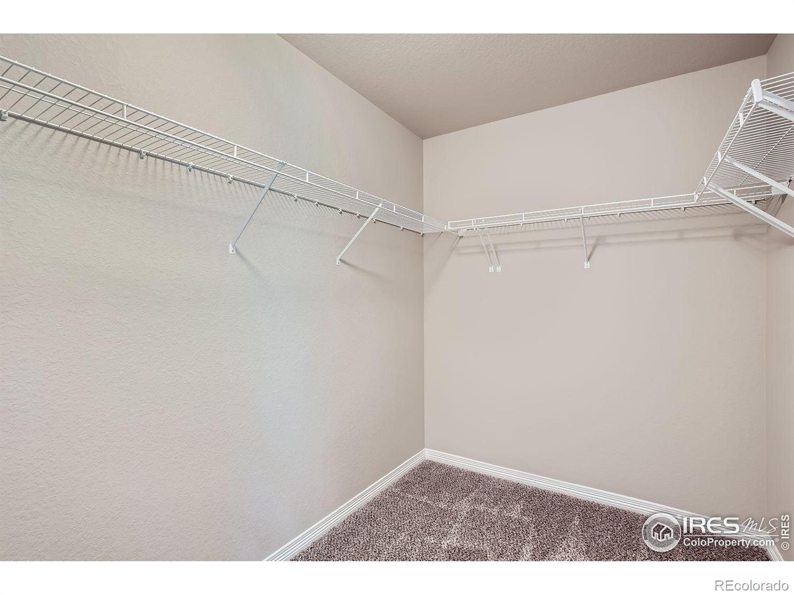 MLS Image #11 for 1742  ruddlesway drive,windsor, Colorado