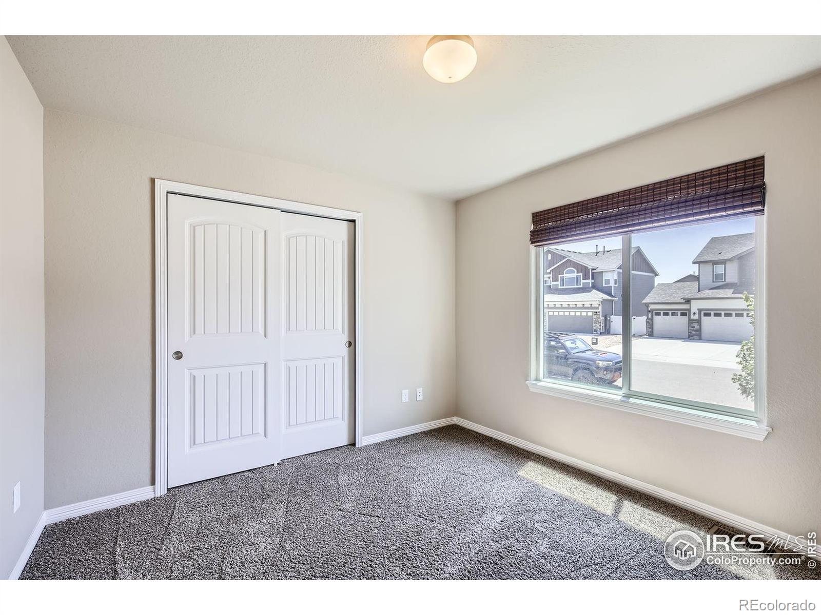 MLS Image #12 for 1742  ruddlesway drive,windsor, Colorado