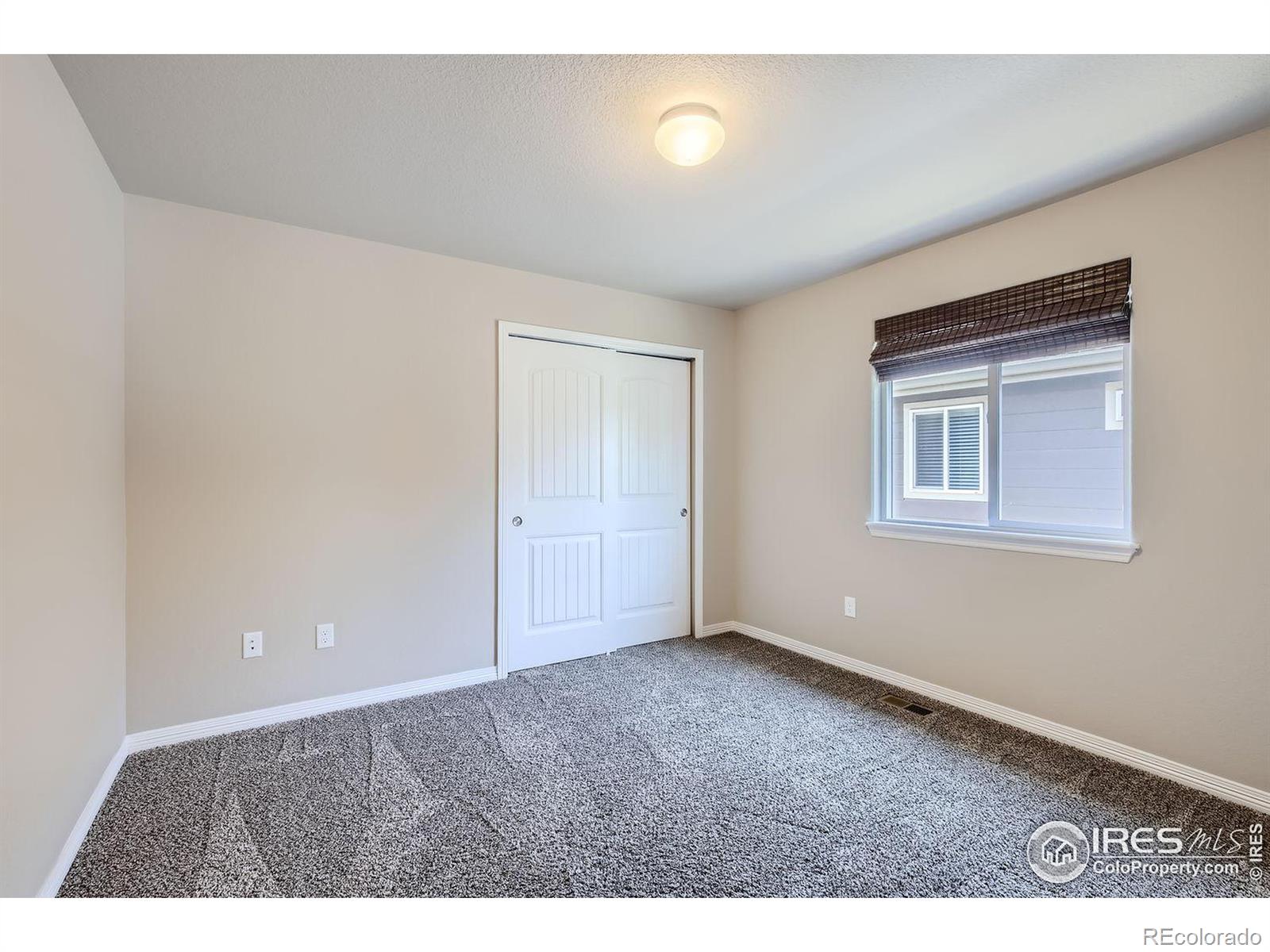 MLS Image #13 for 1742  ruddlesway drive,windsor, Colorado