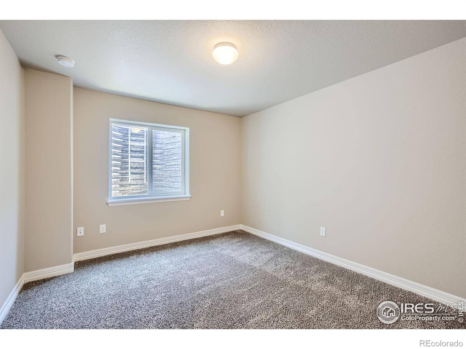 MLS Image #17 for 1742  ruddlesway drive,windsor, Colorado