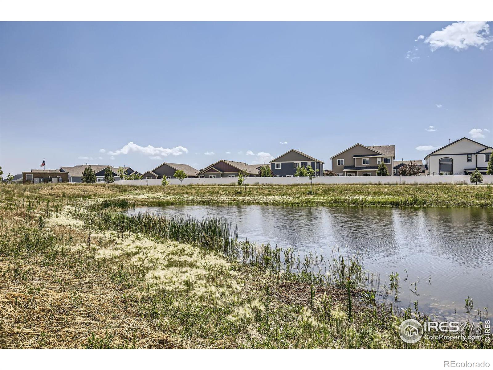 MLS Image #24 for 1742  ruddlesway drive,windsor, Colorado