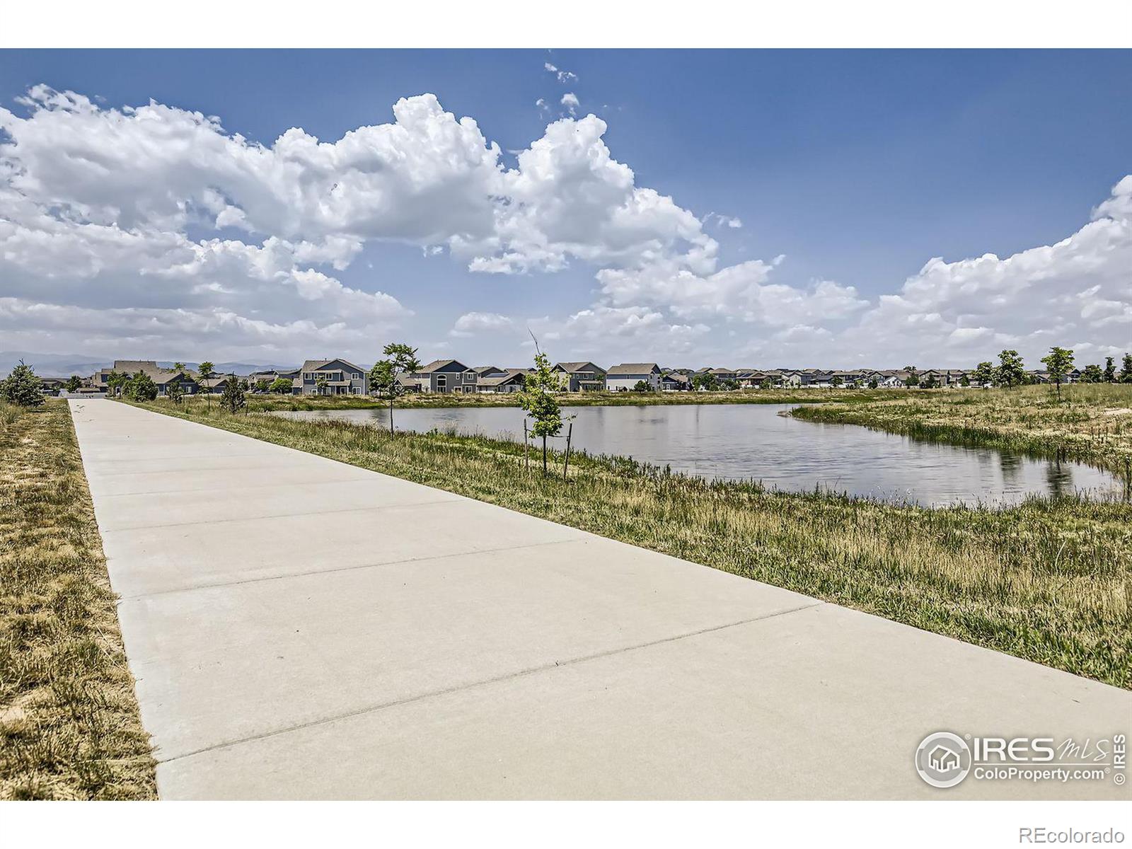 MLS Image #25 for 1742  ruddlesway drive,windsor, Colorado