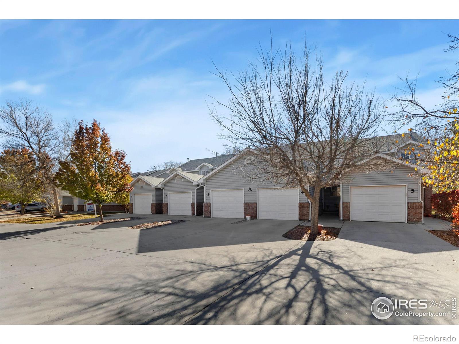 MLS Image #19 for 357  albion way,fort collins, Colorado