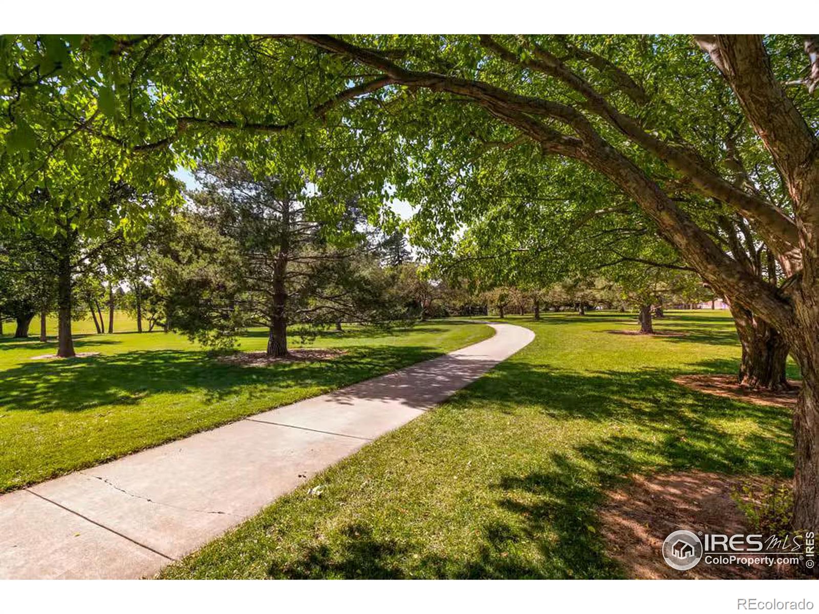 MLS Image #20 for 357  albion way,fort collins, Colorado