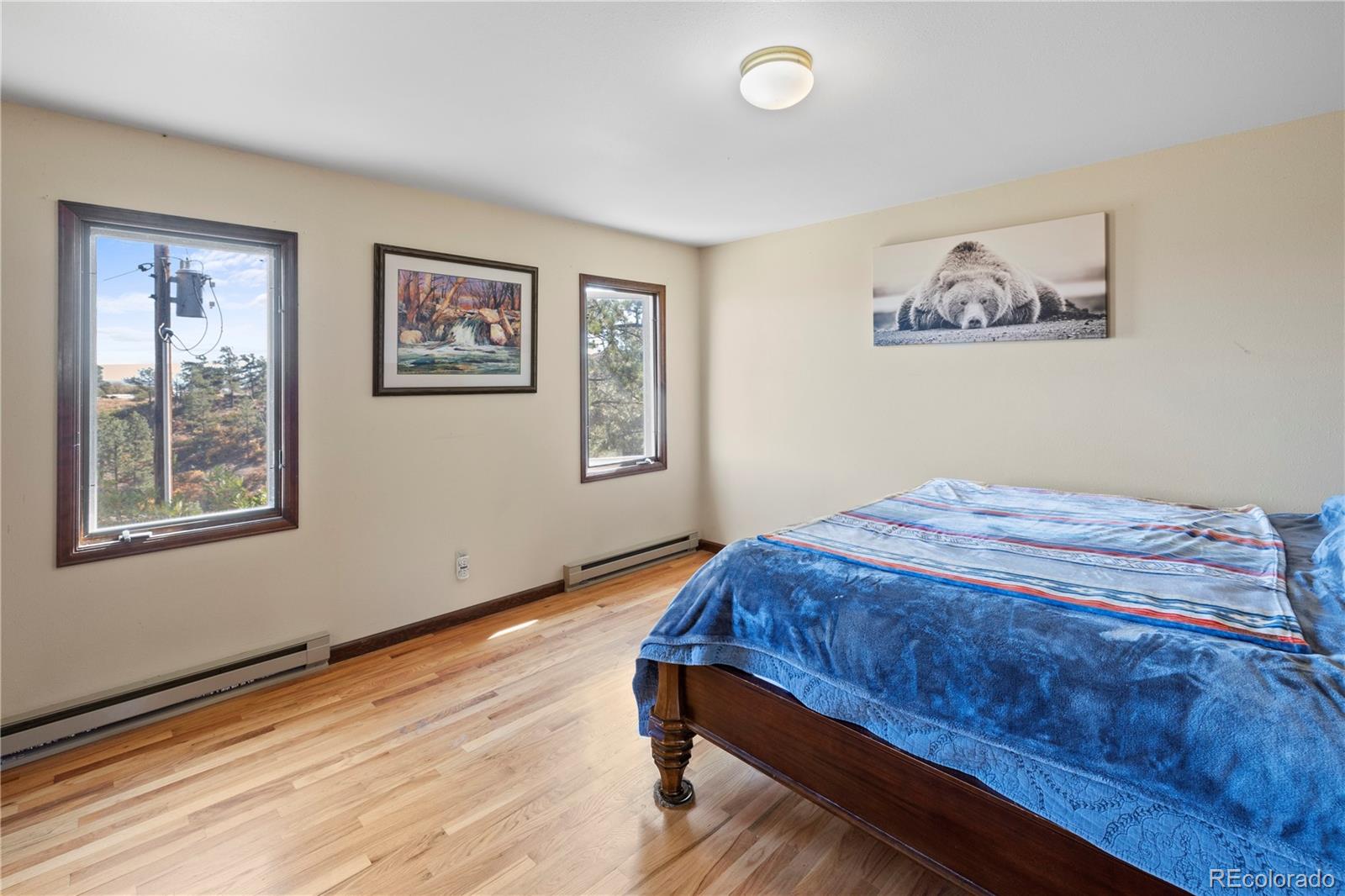 MLS Image #24 for 4050  tapadero drive,colorado springs, Colorado