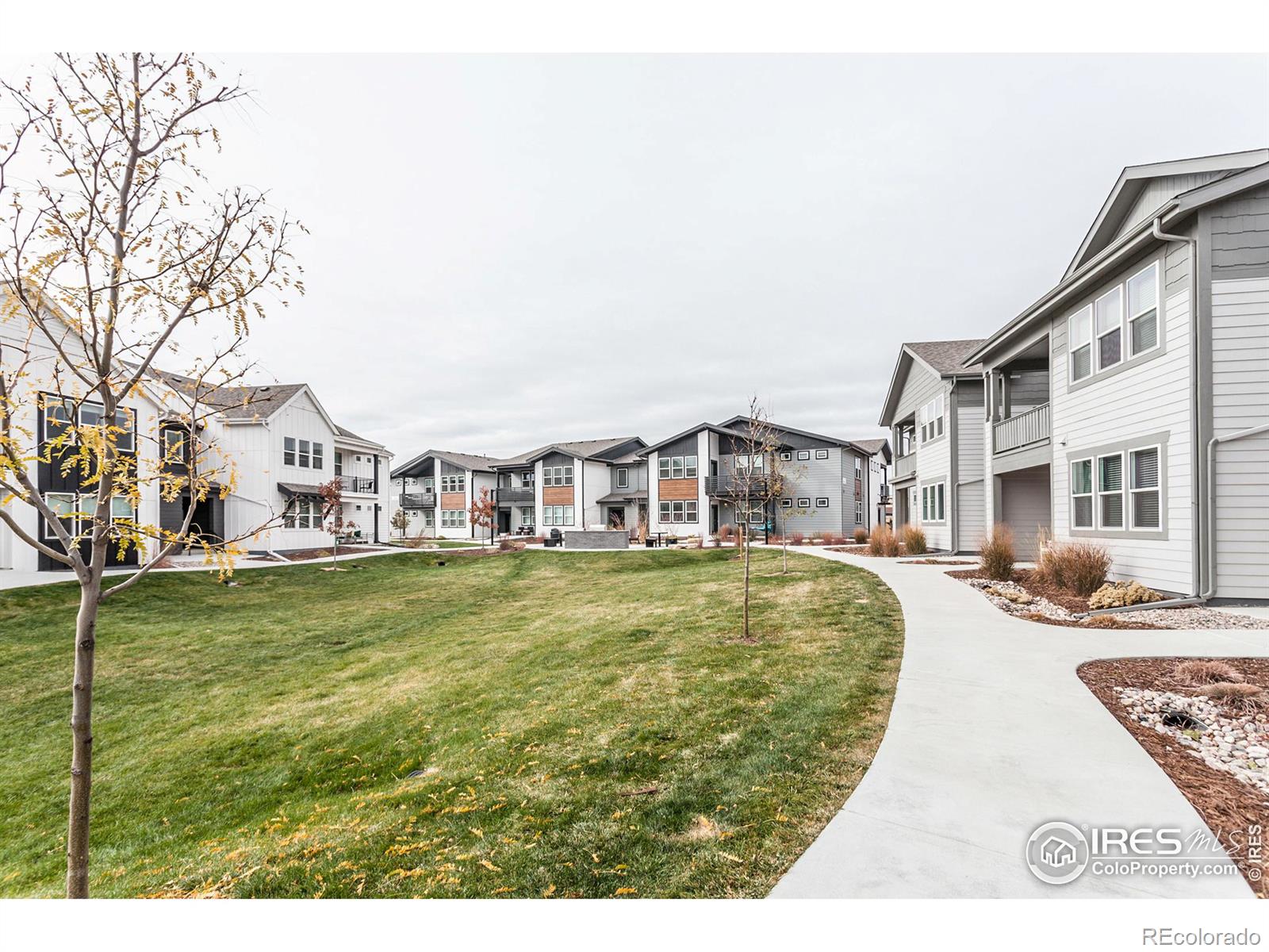 MLS Image #32 for 563  vicot way,fort collins, Colorado