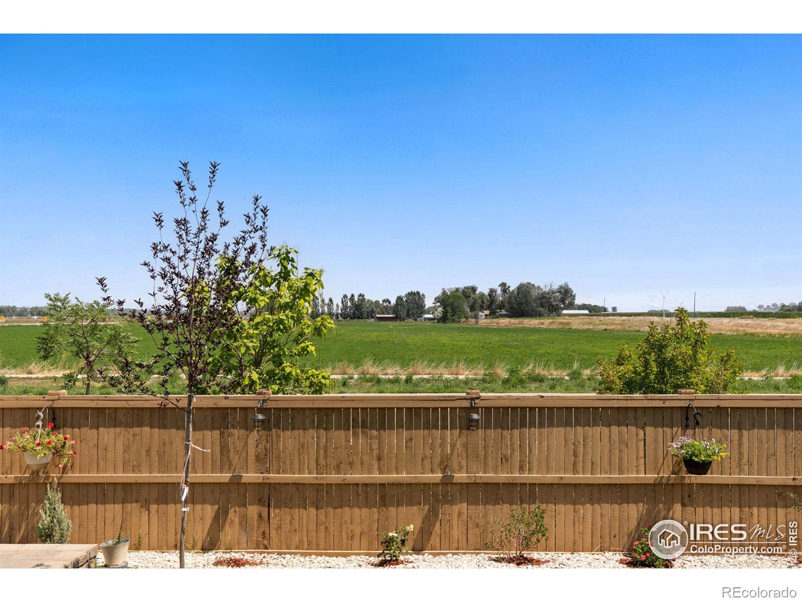 MLS Image #29 for 437  western sky circle,longmont, Colorado