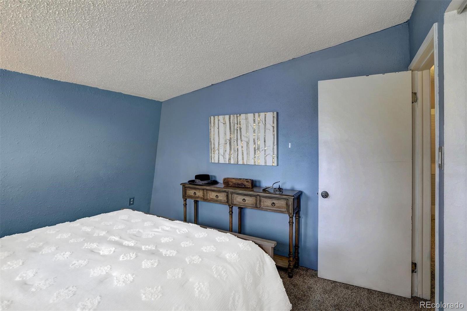 MLS Image #18 for 931  fairview boulevard,breckenridge, Colorado