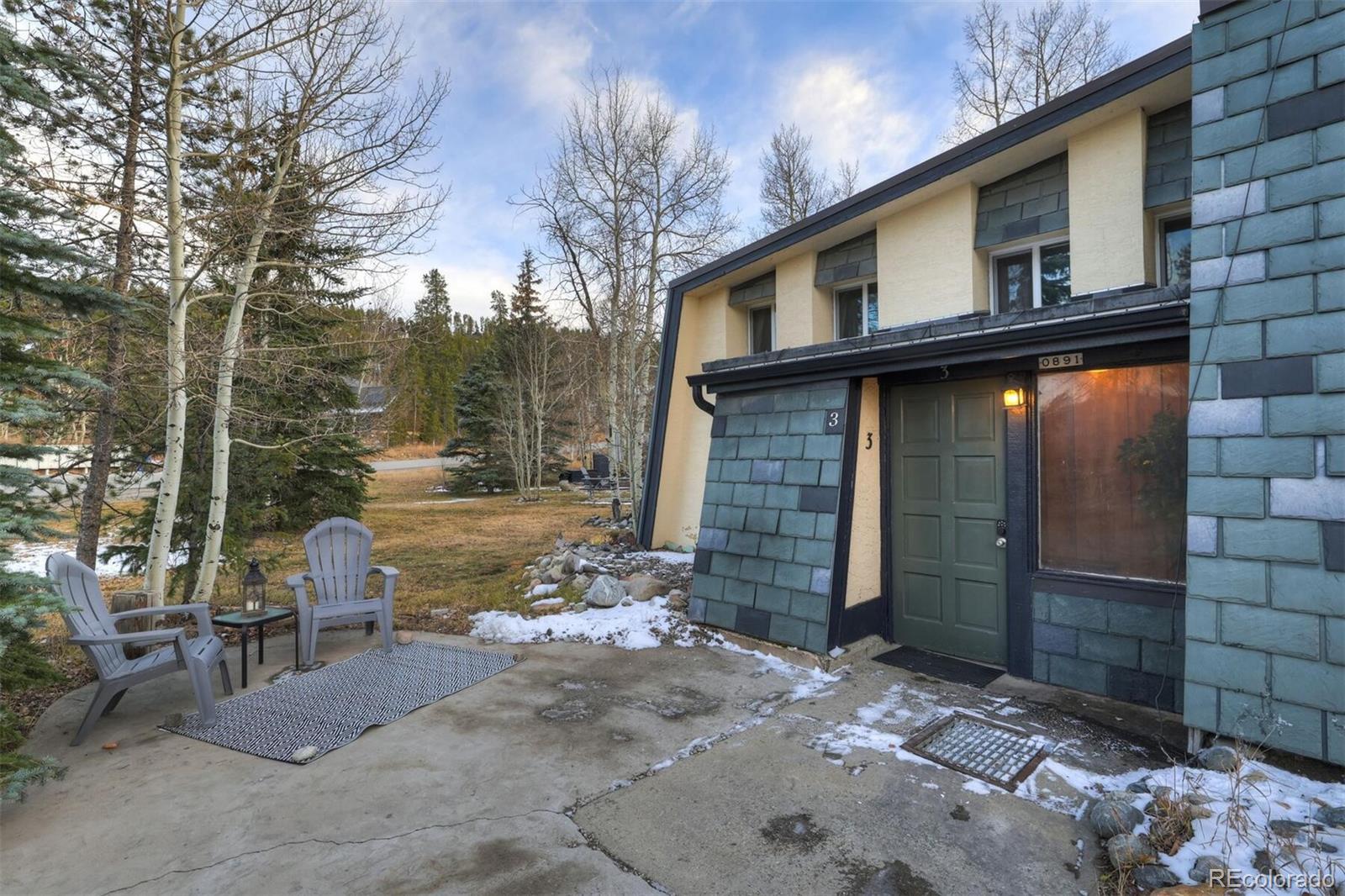 MLS Image #25 for 931  fairview boulevard,breckenridge, Colorado