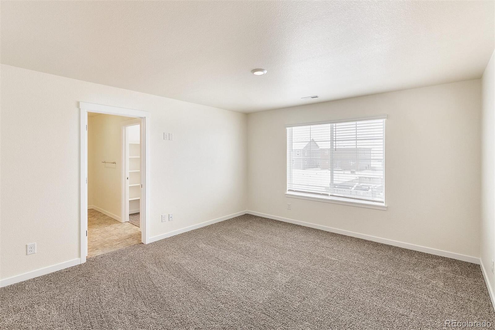 MLS Image #18 for 6055  scrub jay trail,colorado springs, Colorado