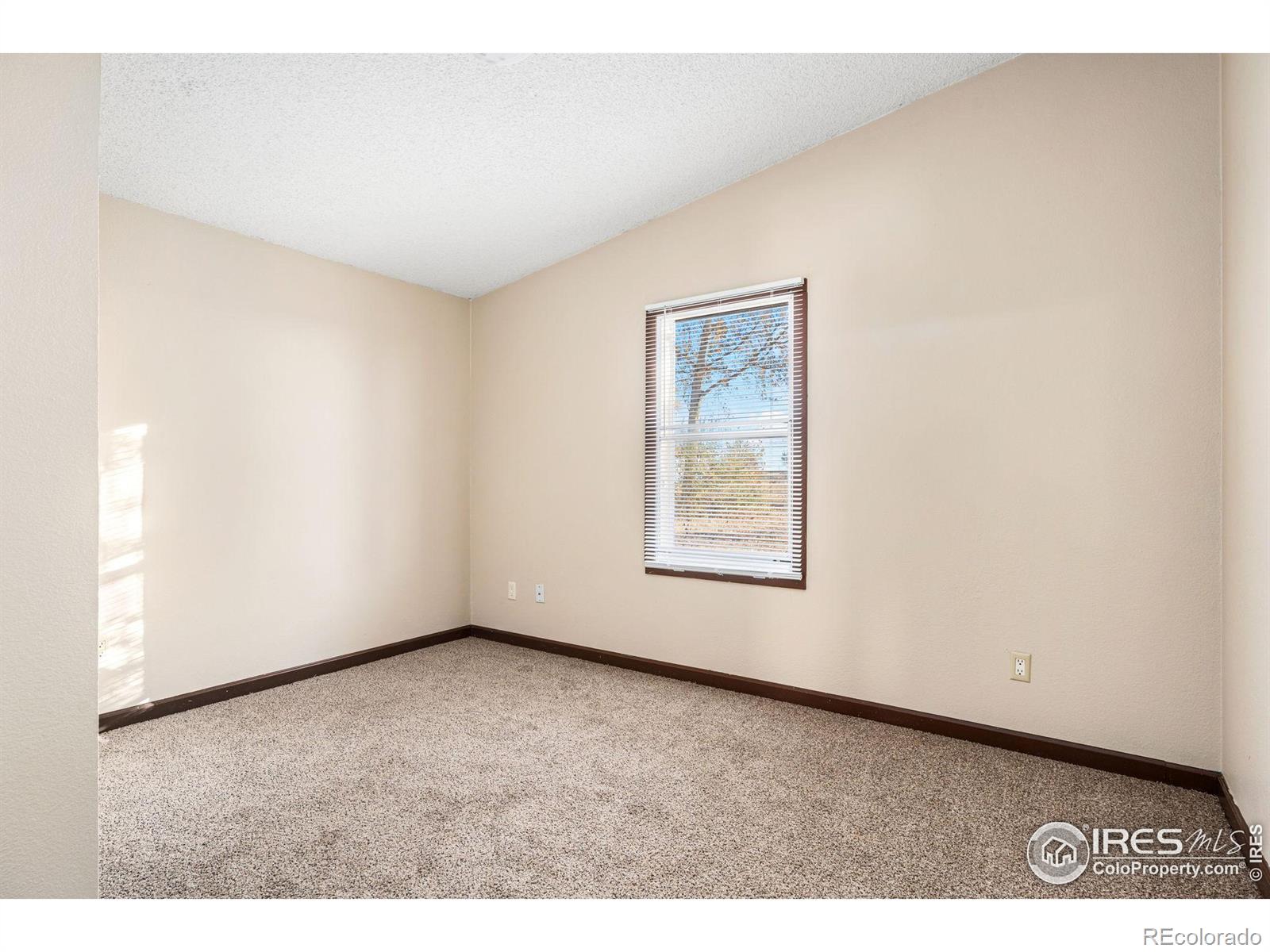 MLS Image #11 for 38973  county road 21 ,fort collins, Colorado