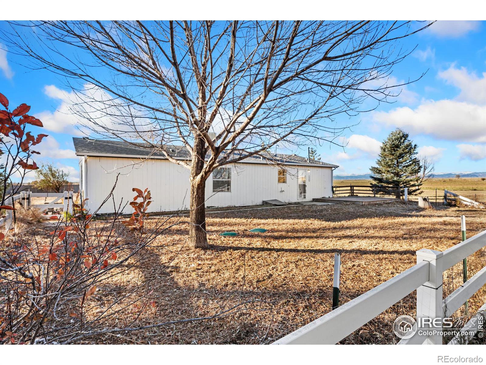 MLS Image #16 for 38973  county road 21 ,fort collins, Colorado