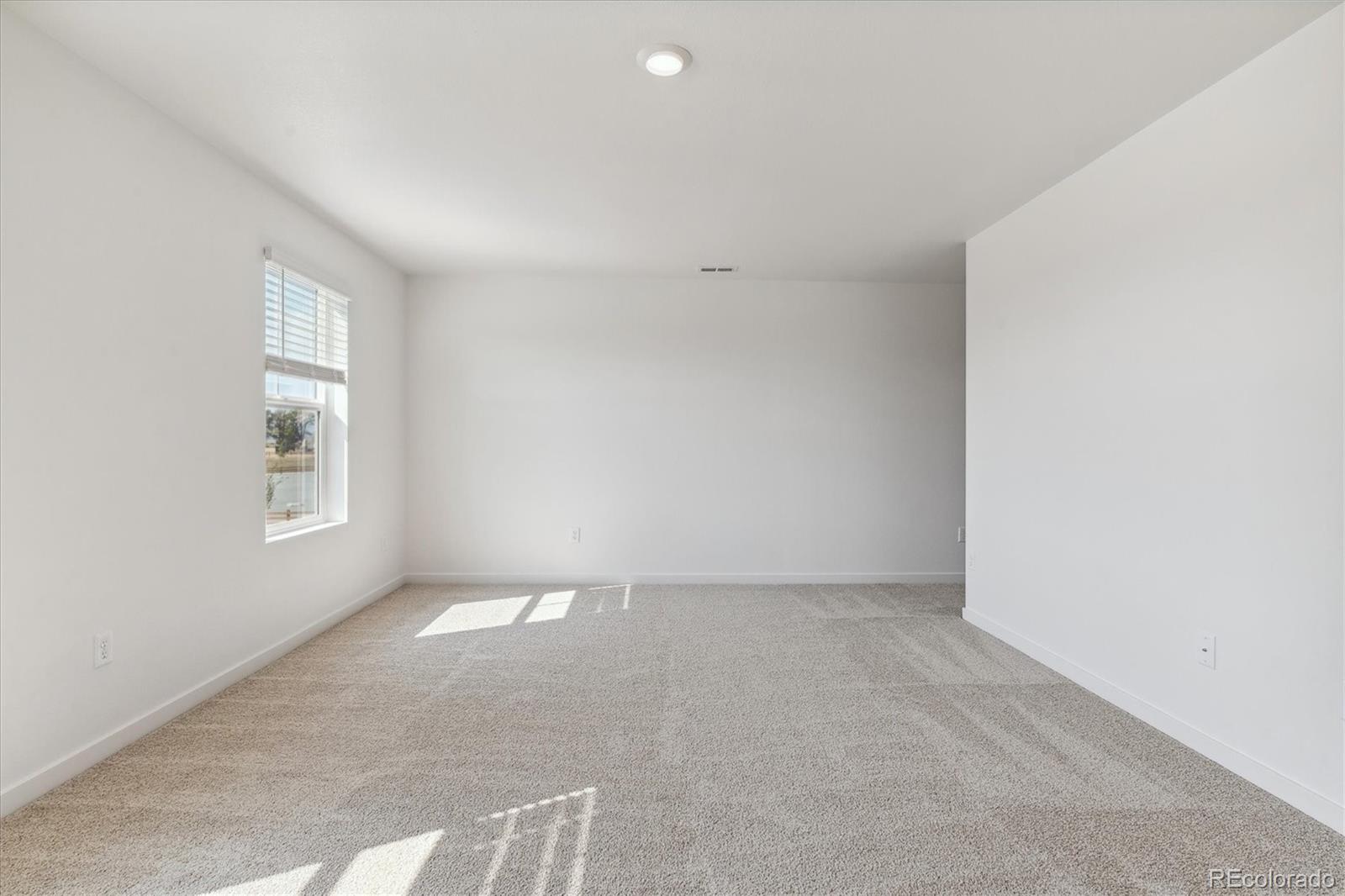 MLS Image #17 for 13603  topaz place,mead, Colorado