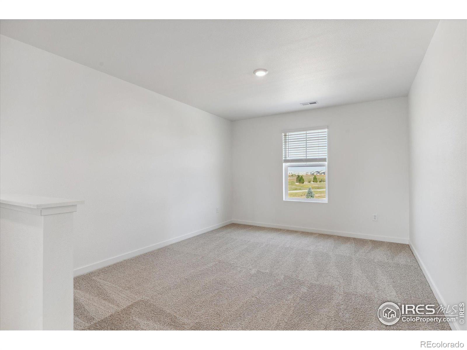 MLS Image #15 for 13603  topaz place,mead, Colorado