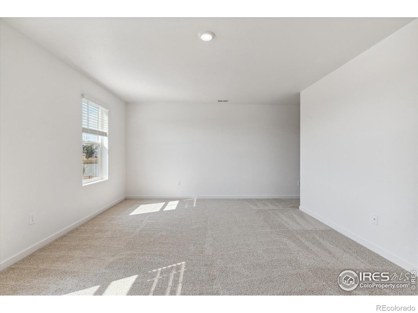 MLS Image #17 for 13603  topaz place,mead, Colorado