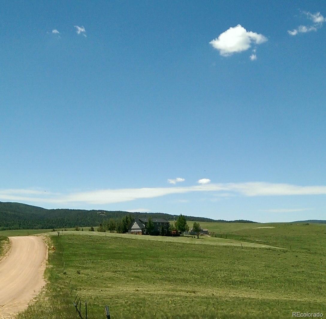 MLS Image #0 for 251  county rd 25 ,divide, Colorado