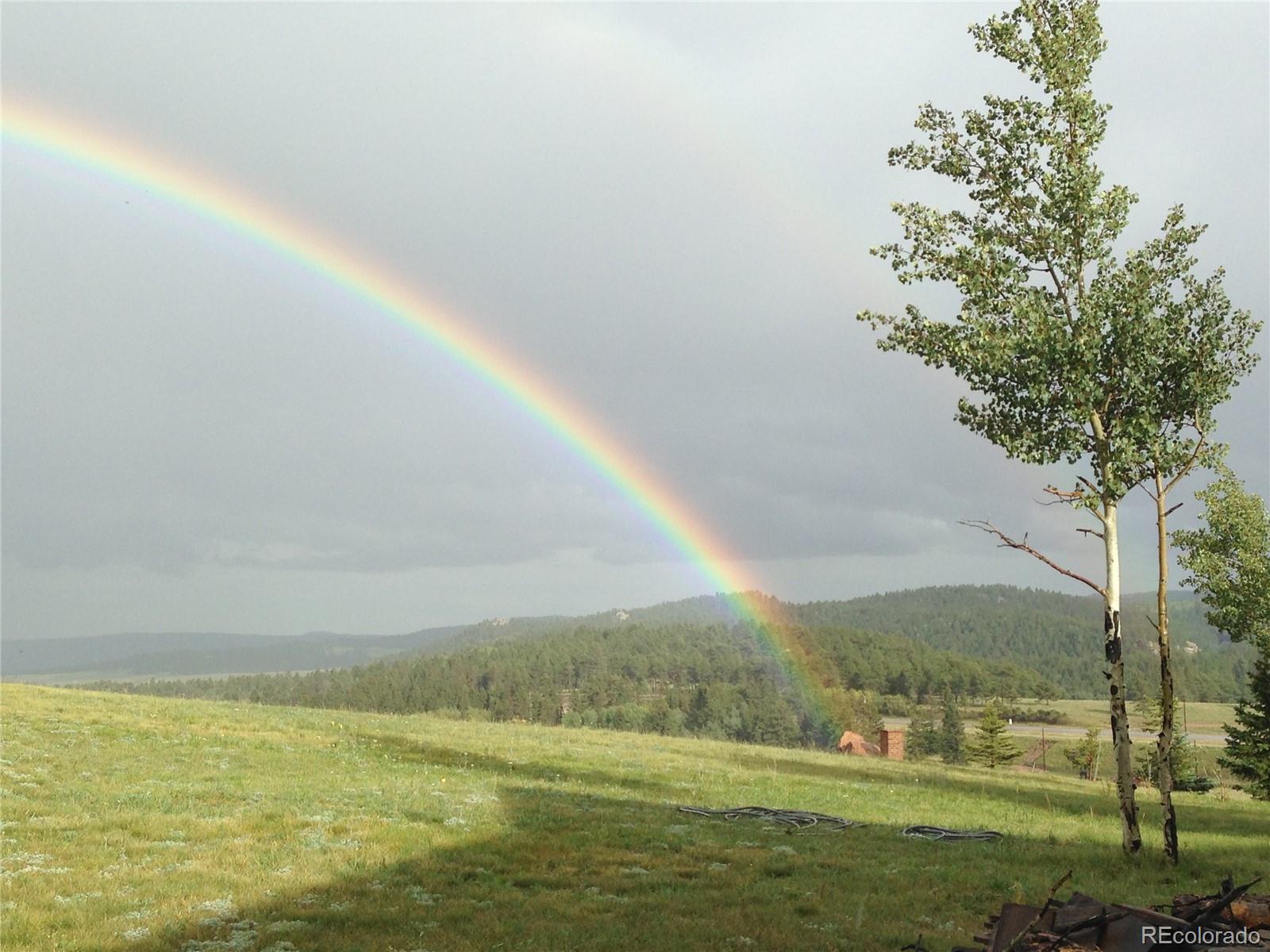 MLS Image #10 for 251  county rd 25 ,divide, Colorado