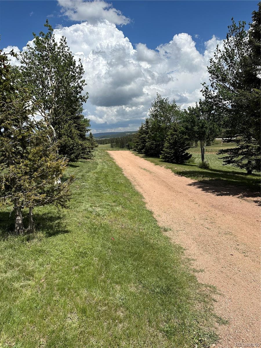 MLS Image #5 for 251  county rd 25 ,divide, Colorado