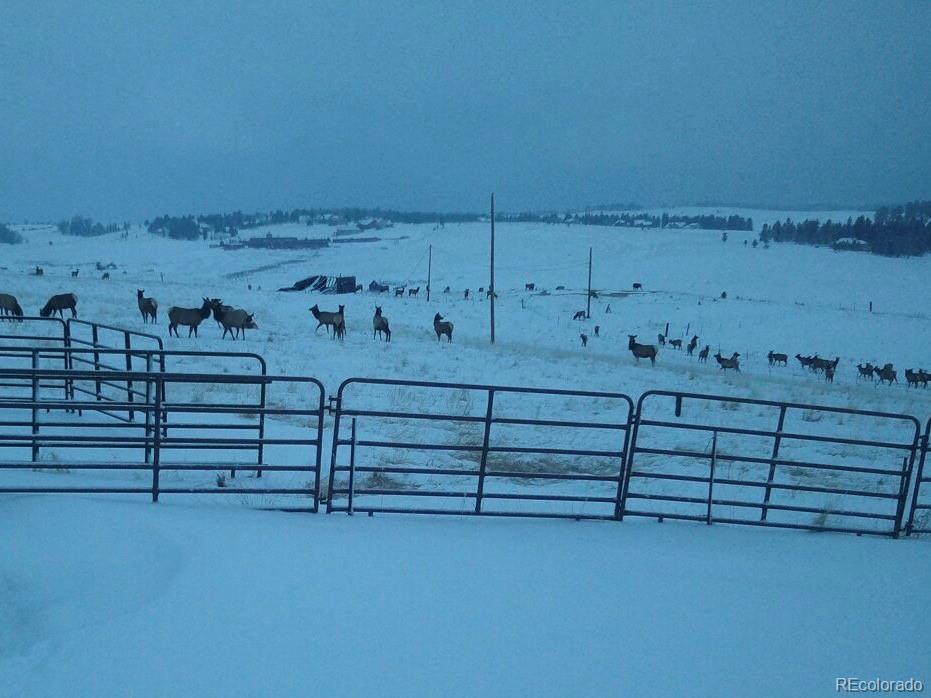 MLS Image #7 for 251  county rd 25 ,divide, Colorado