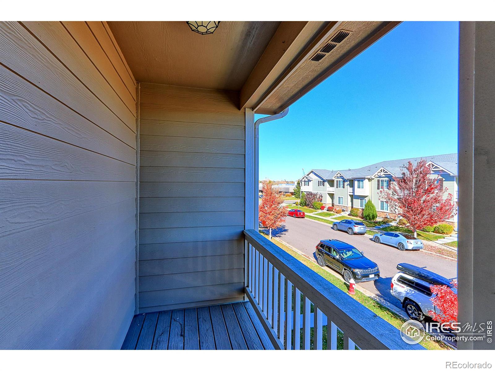 MLS Image #13 for 1221  bistre street,longmont, Colorado