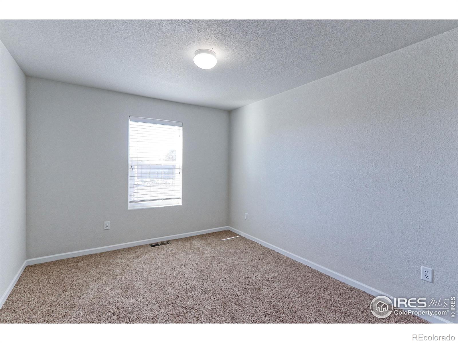 MLS Image #16 for 1221  bistre street,longmont, Colorado