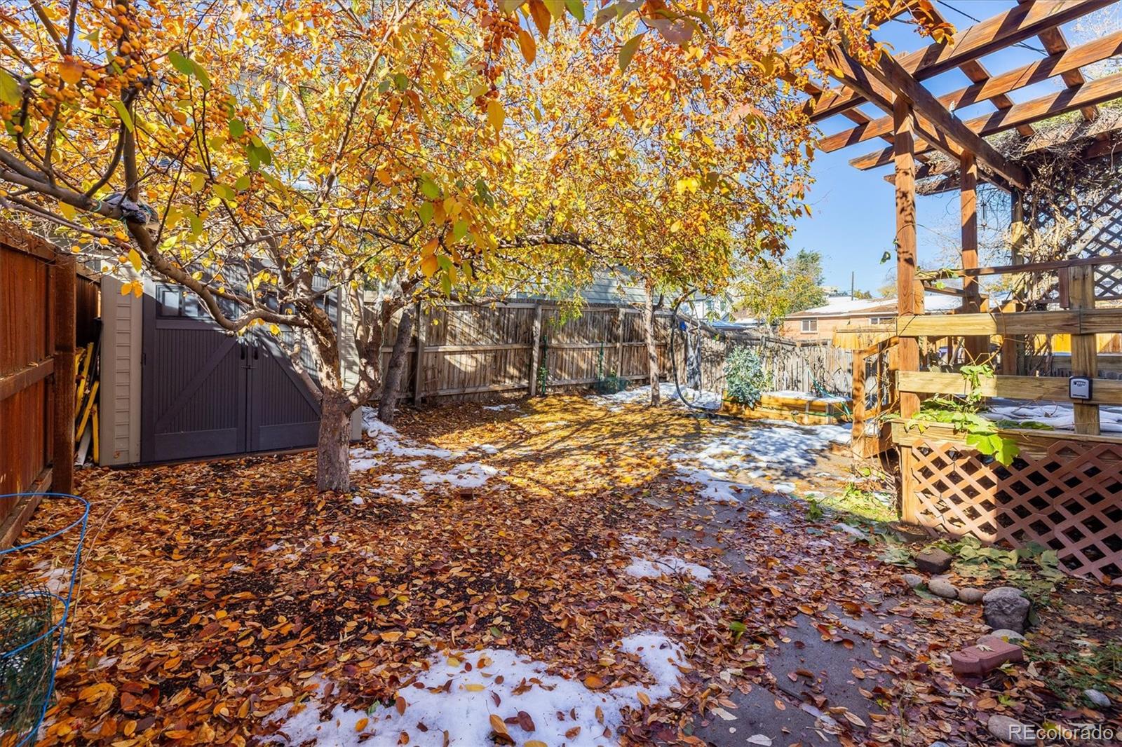 MLS Image #29 for 2339  lowell boulevard,denver, Colorado